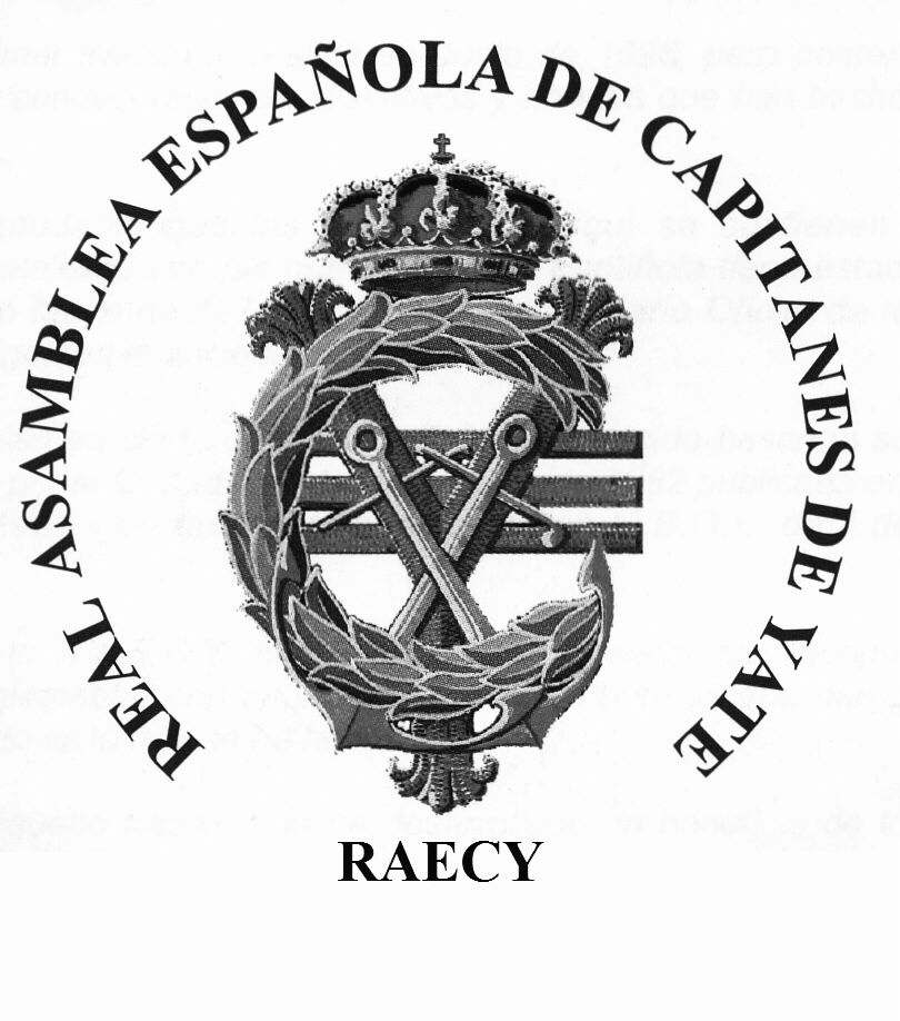 LOGO RAECY WEB